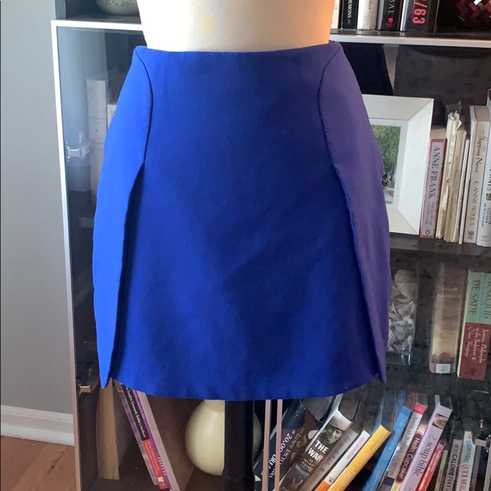 Mod Mini Skirt